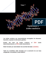 Tema07 BIO-ÁCIDOS NUCLÉICOS