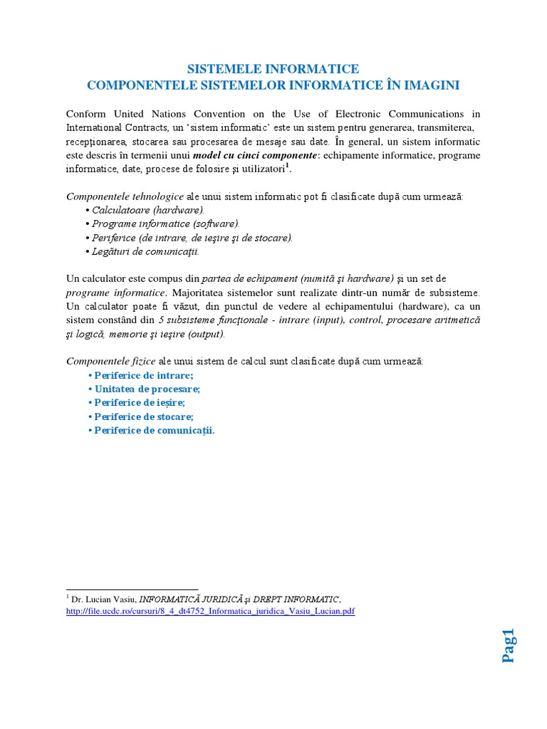 Sistemele Informatice in Imagini | PDF