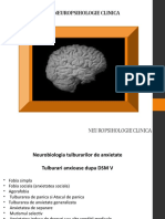 Neuropsihologie Clinica Curs 5