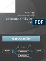 Embriología Del Ojo