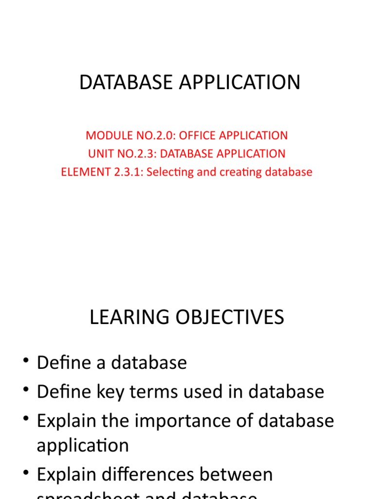 Database Application | PDF | Databases | Spreadsheet