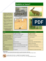 Rabbits or Hares?: Darling Downs - Moreton Rabbit Board