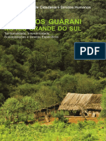 Os Guarani e a luta pela terra no RS