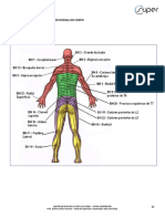 STIPERTERAPIA - Prof Janete 2