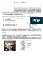 Os ácidos nucleicos: DNA e RNA