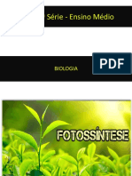 Fotossíntese Slide