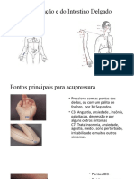 Canal Do Coração e Do Intestino Delgado