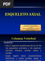 Download 04 Esqueleto Axial by Mario Salini SN55115164 doc pdf