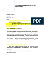 Relatório Sobre Rochas Carbonáticas e Seu Potencial Como Reservatório de Hidrocarbonetos