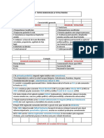 Schema Recapitulare SECOLUL XX