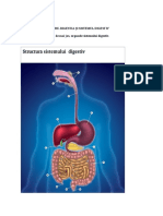 Fișă de Lucru-Digestia