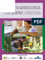 Caderneta Agroecologica e Os Quintais Sistematizacao Da Producao Das Mulheres Rurais No Brasil 292