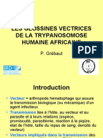 Cours Glossines 010806