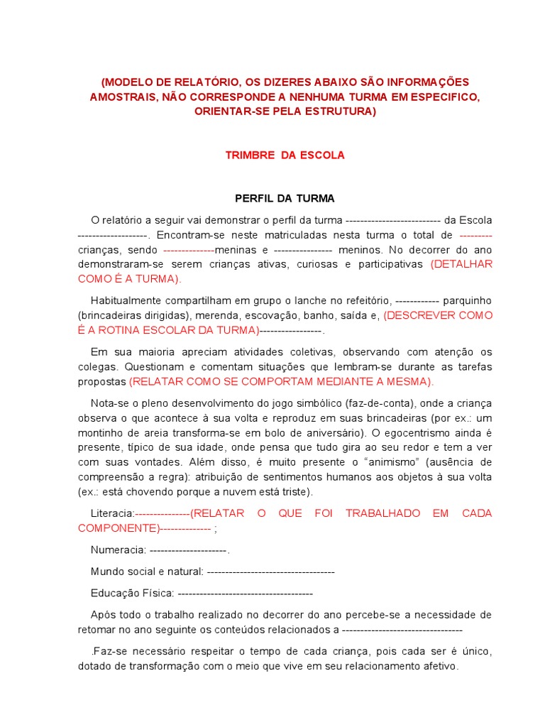 Relatório Modelo Perfil Da Turma | PDF