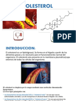 EL COLESTEROL Trabajo