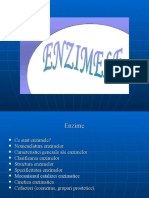 enzime-1