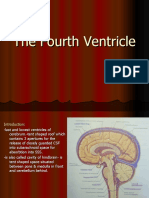 The Fourth Ventricle