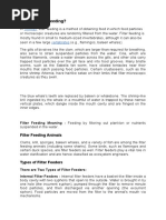 ICZN | PDF