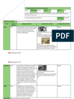 6483 - Semana 23b - Bloque III - Historia - 2do Grado