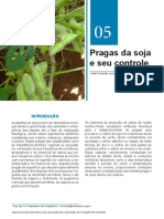 FUNDACAO MS Capitulo-05-Pragas-Da-Soja-Somente-Leitura