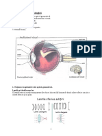 Elemente de Optica Biologica