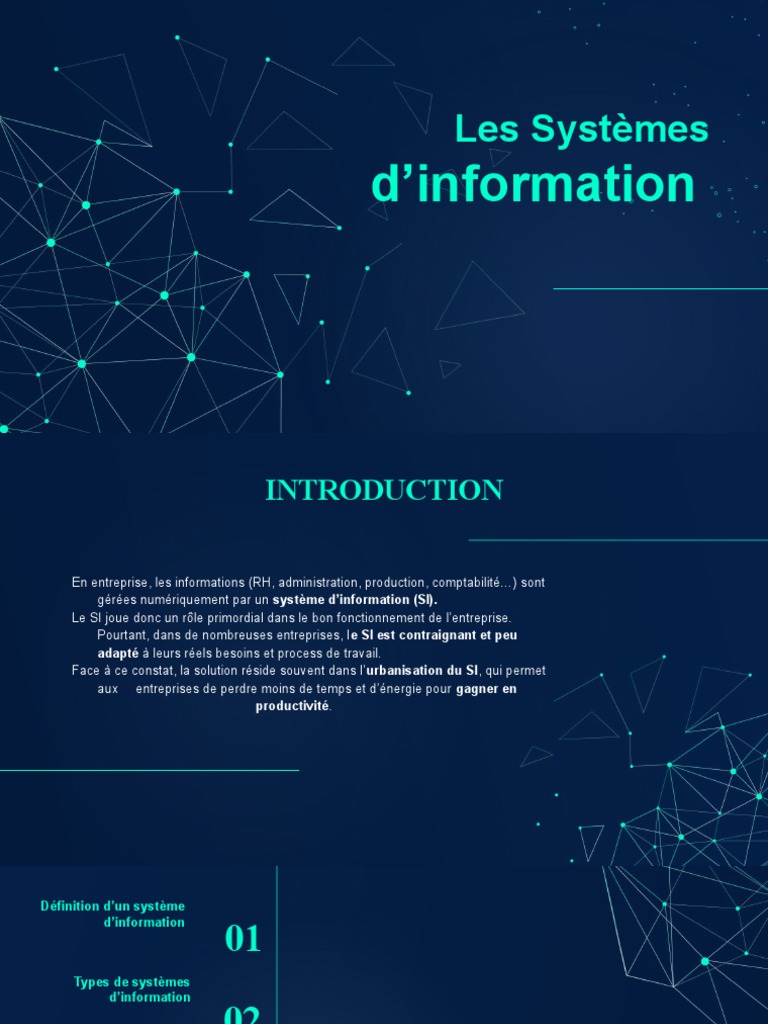 Les Systèmes D'information | PDF | Système d'information | Application