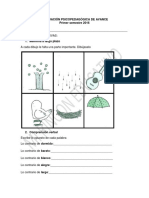 Evaluacion funciones cognitivas