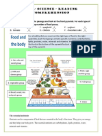 Food Pyramid Word Worksheet