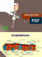 Curs 6 AMG Biofiz