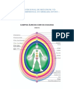 Sistema Protecional de Metatrom