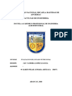 Informe Nutricion Familia