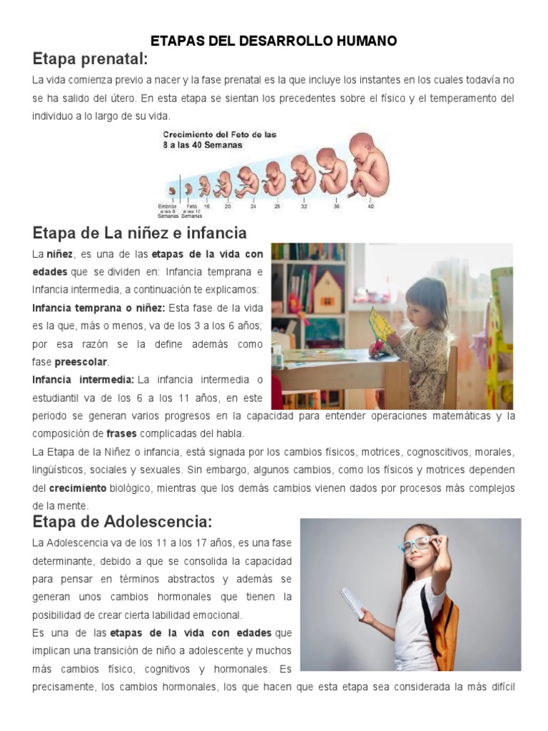 Etapas del Desarrollo Humano | PDF | Adultos | Vejez