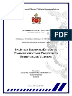 Dissertação Final João Fernandes