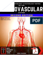 Cardiovascular Medicine Notes: Heart Anatomy