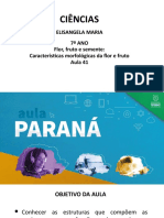 Partes da flor e fruto: estruturas e funções