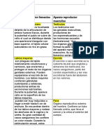 1.4 Anatomía y Fisiología de Órganos Sexuales Pélvicos de La Mujer y Del Varón