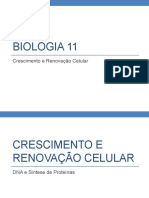 Crescimento e Renovação Celular