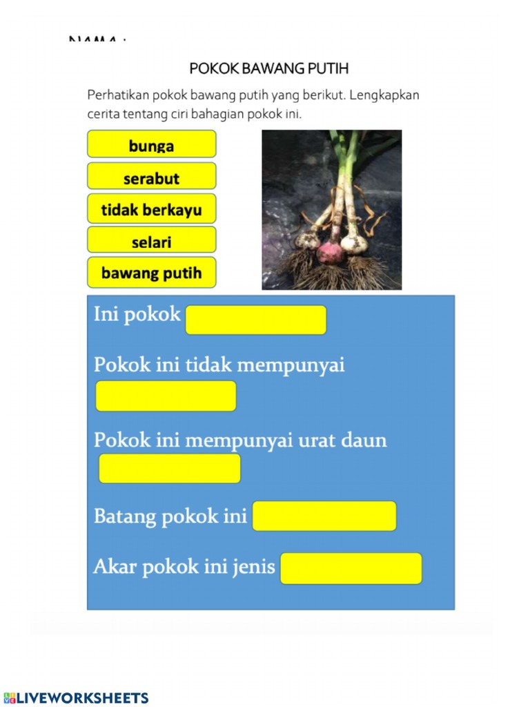 Kepentingan Tumbuhan | PDF