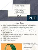 Presentasi Biologi Daun