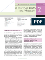 Cell Injury Readings