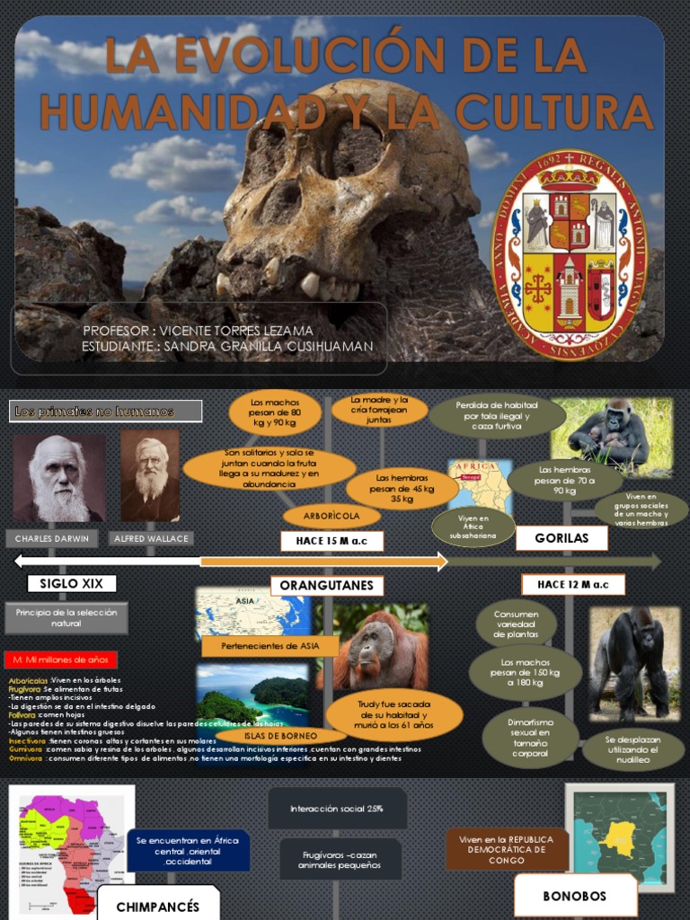 Evolución de la humanidad y cultura | PDF | Homo | Neolítico