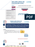 Formulario Unico de Fiscalizacion (Paso A Paso)