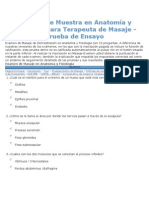 Masaje Muestra Examen Anatomía Fisiología 15 Preguntas