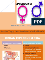 Anatomi & Fisiologi Organ Reproduksi Wanita 1