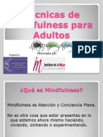 Técnicas de Mindfulness Para Adultos