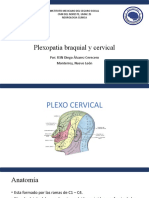 PLEXO CERVICAL Y BRAQUIAL