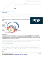 CAPÍTULO 14 - Desarrollo de Los Músculos