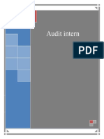 Audit Intern