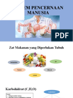 Sistem Pencernaan Manusia