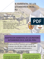 DIAPOSITIVAS Adaptacion en Los Andes